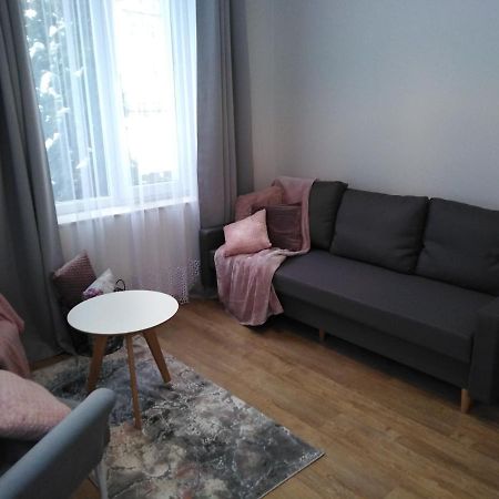 Apartament Joanna 萨诺克 外观 照片