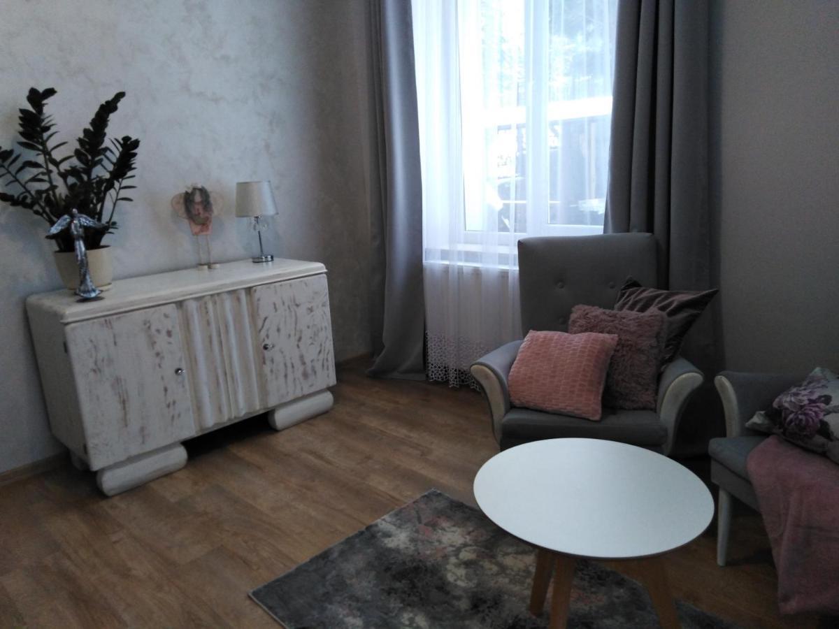 Apartament Joanna 萨诺克 外观 照片
