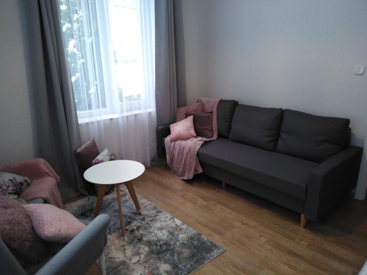 Apartament Joanna 萨诺克 外观 照片